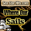 Get Traffic to Your Sites - Join Sea Star Hits